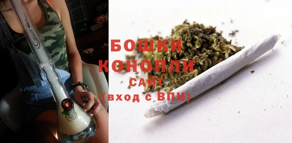 MESCALINE Пионерский