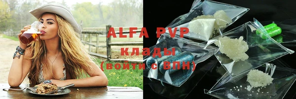шишки Почеп