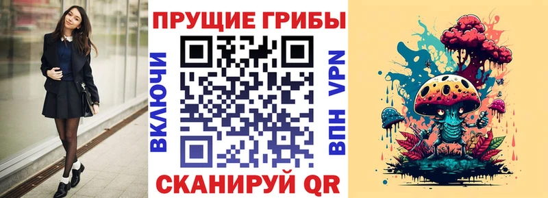 сколько стоит Спас-Клепики Галлюциногенные грибы Cubensis
